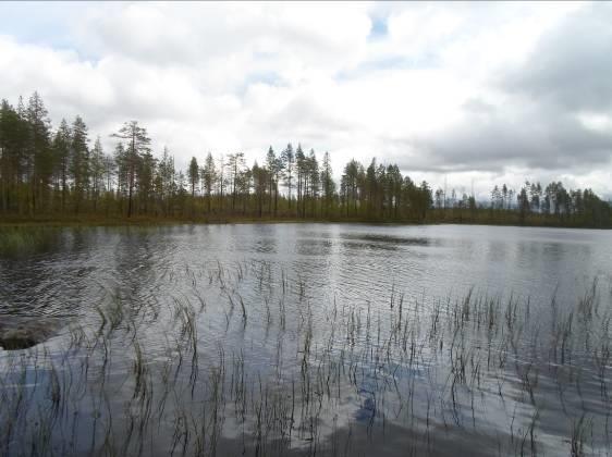 Persejärven luoteispuolella on epämääräisen muotoisia ablaatiomoreenikumpareita ja niiden väliset alueet ovat soistuneita ja pohjamoreenit ovat eloperäisen aineksen peittämiä.