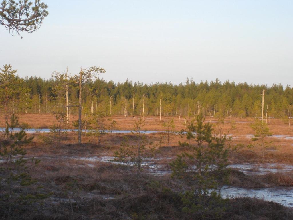 Vastaanottaja Suomen Hyötytuuli Oy Asiakirjatyyppi Luontoselvitys Päivämäärä 9.10.