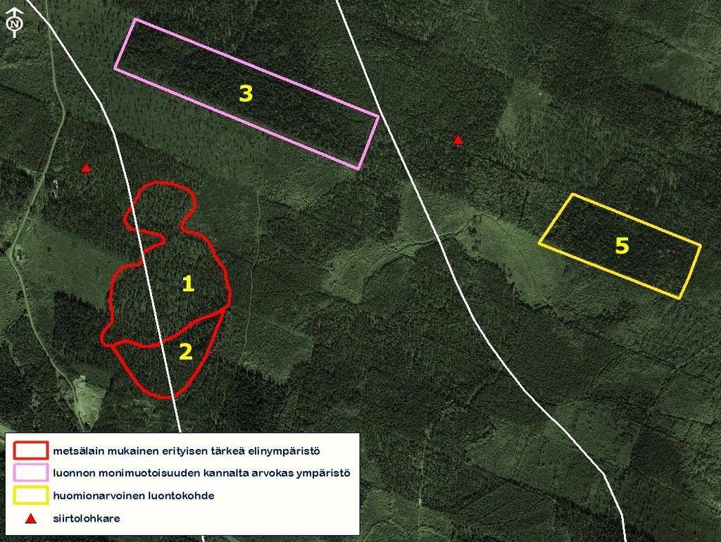 Metsälain mukaiset erityisen tärkeät elinympäristöt 1. Kaatajanvuori Kaatajanvuori on ympäristöstään suhteellisen paljon ja melko jyrkästi kohoava laaja kalliomäki.