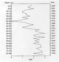 piileväyhteisöt Sedimentaation määrä Historialliset surviaissääskiyhteisöt