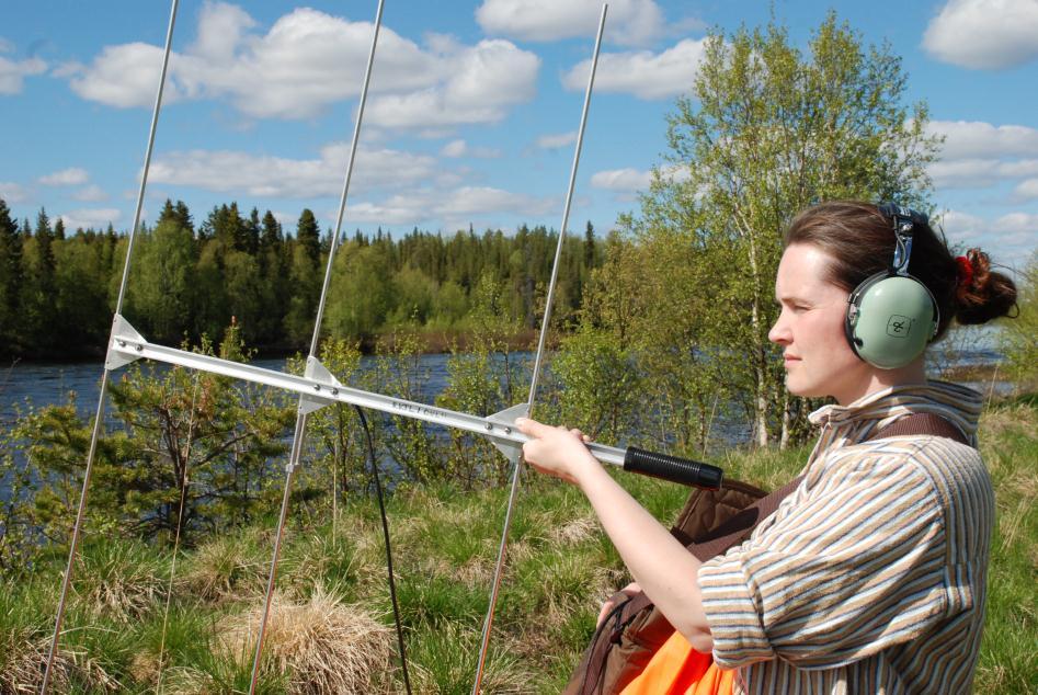 Menestyvä istukas EKTR Simojoen ja Tornionjoen