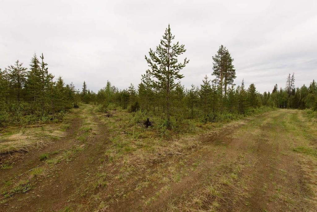 hankevaihtoehdossa 1. Kuvattu luoteesta.