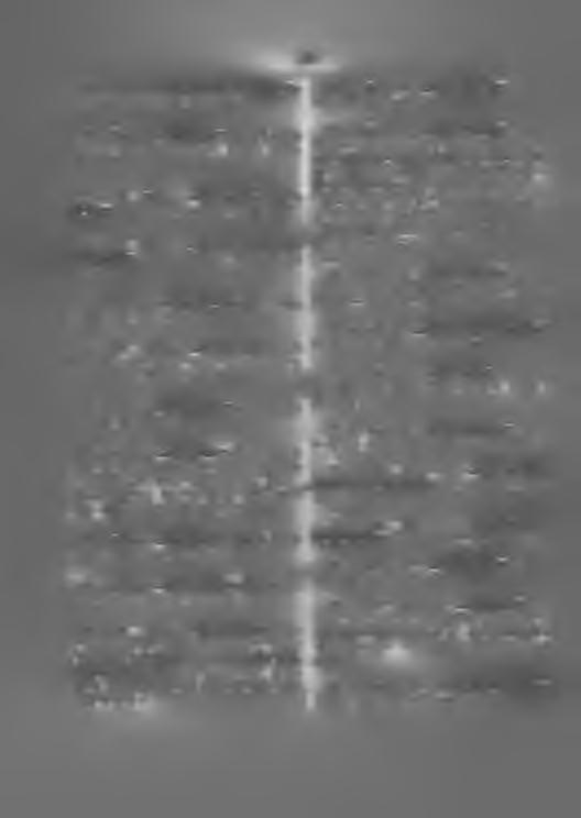 Siv. 127 kpl. 127 Sveitsi44 7 sarekk. on 2 muutettava l:ksi. Siv. 128 129 kpl. 129 Tanska ynnä Färsaaret lisätään edellisten ilmoitusten alle eripainos N:o 51. Siv. 129 kpl. 131 Timor44 7 sarekk.