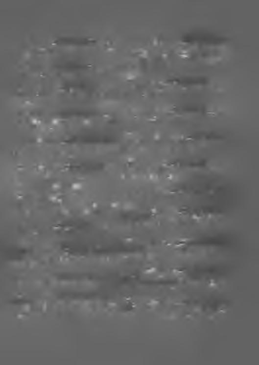 ,,83 New Foumlland44 1 sarekk. lisätään eripainos N:o 21 ja arvo 5 sarekk. muutetaan 10,(X)0:ksi. Siv. 108 109 kpl 84 Nikaragua44 ovat maksut muutettavat: 4 sarekk. 8 sarekk. 2 rpl. 50 kp:ksi.