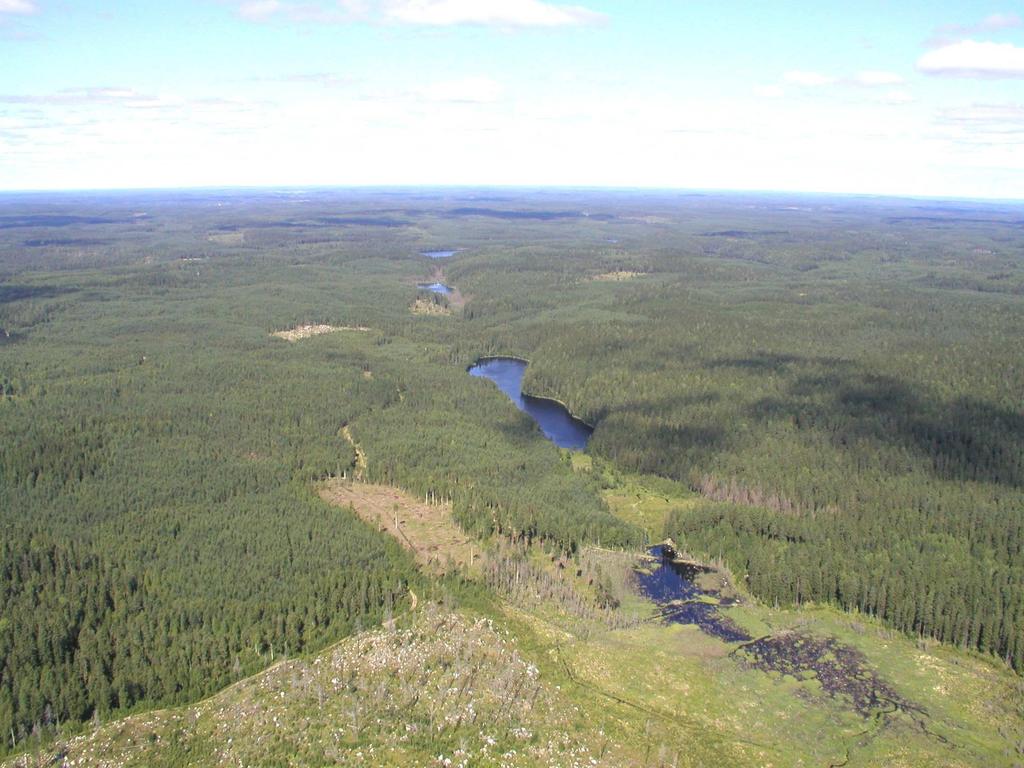 Luonnon tarjoamien palveluiden haavoittuvuusarviointi ja sopeutuminen muuttuvaan ilmastoon Vulnerability assessment of ecosystem services