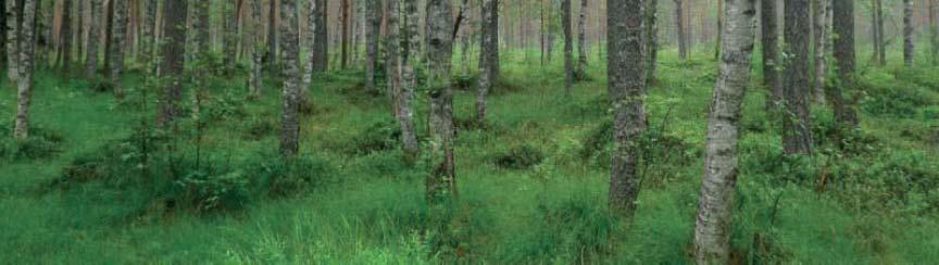 Päivämäärä 4.2.