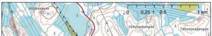 110 KV LIITYNTÄVOIMAJOHDON LUONTOSELVITYS 11 7.