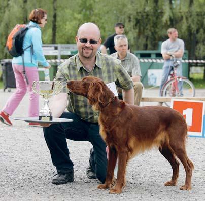 Erikoisnäyttelyn 2012 kuvasatoa Kuvat: T. Korhonen, K. Roiha ja T. Puro. BIS veteraani Peltoluovin Mikki, om. J. Karjalainen.