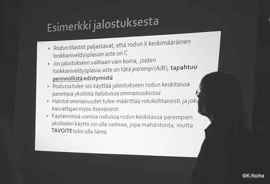 Anneli-hirven laskettu aika oli käsillä, jonka takia pyrimme hiippailemaan pihapiirissä häiriötä aiheuttamatta.