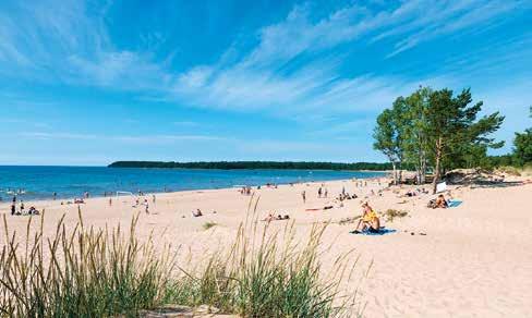 Palveleva Yyteri Yyteri houkuttelee ympäri vuoden. Yyterissä voit nauttia hyvästä ruuasta, välipaloista ja virvokkeista terasseilla, ravintoloissa, kahviloissa ja jopa näkötornissa.