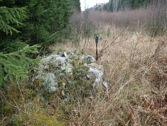 Kohteet sijaitsevat sekä voimajohtolinjan aukossa että sen molemmin puolin kuusimetsässä. Röykkiön 3 läpimitta on 150 ja korkeus 30 cm.