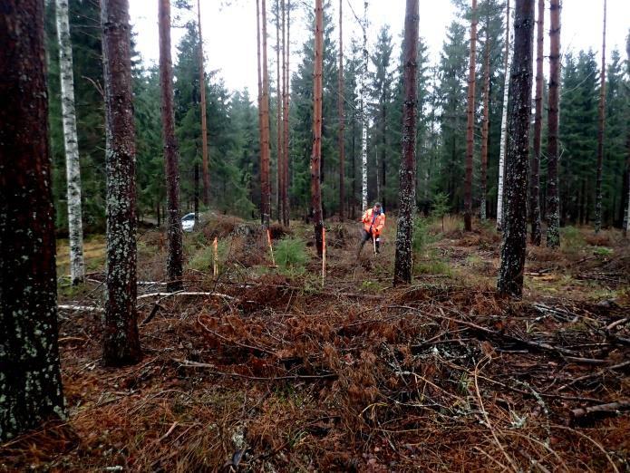 Voimajohtolinjalla tehtiin muinaisjäännösinventointi v. 2014. Voimajohtolinjakäytävältä ja sen läheisyydestä löytyi tuolloin kuusi kiinteää muinaisjäännöstä.