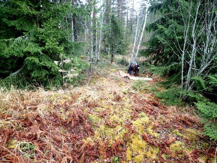 tunnus: 1000027633) ja hiilihauta, sekä neljä nauriskuoppaa Rauhala (mj.tunnus: 1000027635), Hämeenlinnassa hiilimiilu Vellikorpi (mj.tunnus: 1000027636) ja viisi raivausröykkiötä Levonkorpi (mj.