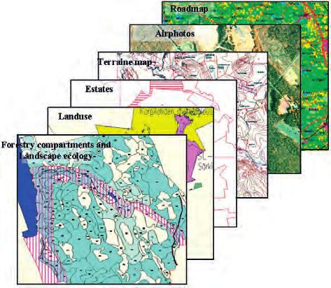 Management history Landuse Cutting outturn Research area Kuva.