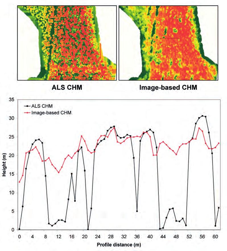 4 Kuva 5.. Laserkeilaus- (ALS CHM) ja Ilmakuvapintamallin (Image-based CHM) vertailu. Laserkeilaus havaitsee latvusaukot yksityiskohtaisemmin.