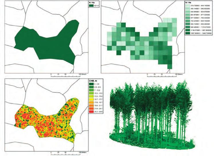 5. Tulevaisuuden metsävaratieto on nykyistä yksityiskohtaisempaa ja ajantasaisempaa.