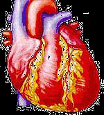 Lipid overflow hypothesis and the pathogenesis of Obesity/Type 2