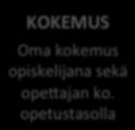 kul3uurinenja perhetausta KOKEMUS+ Omakokemus