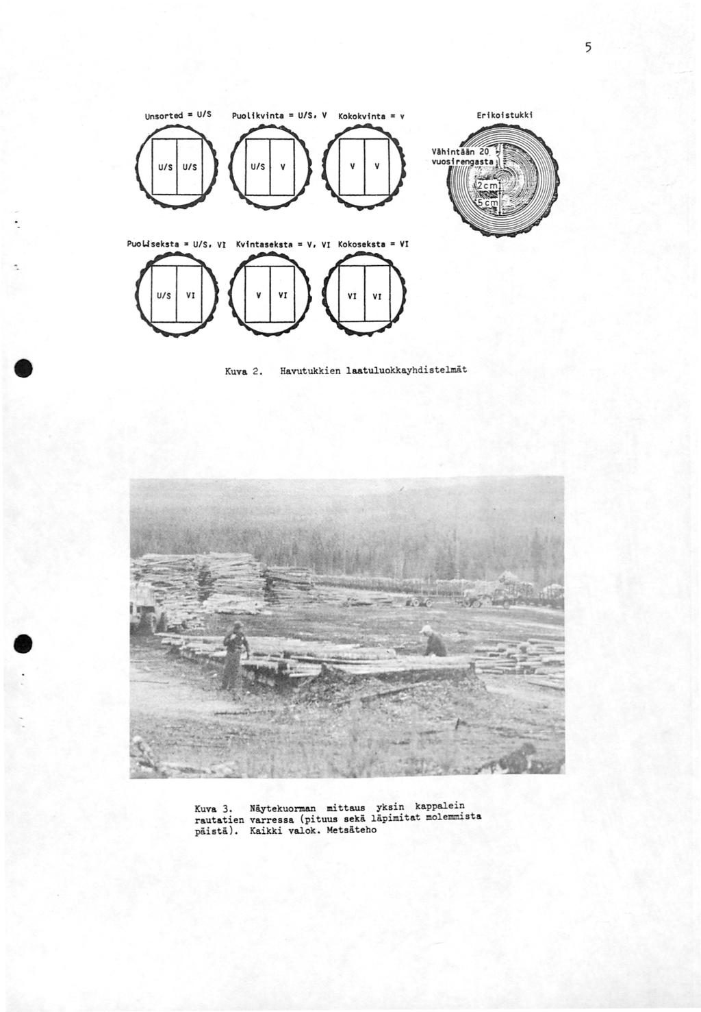 5 Unsol"ted U/S Puolikvinta PuoU.s ekste U/S, VI a U/S, V ICokokvinte v Erikoistukki Kvfnteseksta V, VI Kokoseka te VI Kuva 2.