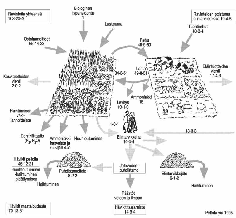 RAVINNEKIERROT JA RAVINNEHUOLTO Luonnonmukaiseen viljelyyn siirryttäessä ravinteiden kierrätyksen tehostaminen koko systeemissä on tärkeässä asemassa tilan lannoituksen järjestämisessä.