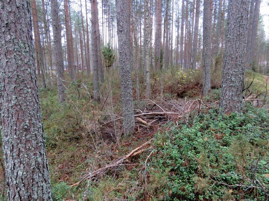 12 Puujätteellä täytetty halssi kuvattu kaakkoon. Kartat sivuilla 10