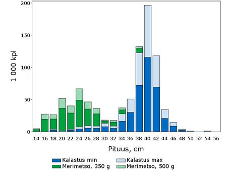 Kalakantojen tila vuonna 211 sekä ennuste vuosille 212 ja 213 Vuonna 211 vastaavat luvut olivat 1 %, 2 % ja,4 %. Merimetsot söivät 13 38 cm:n mittaisia kuhia keskipituuden ollessa 24 cm.