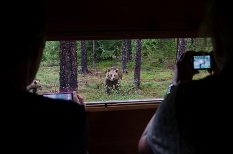 Tuotteistaminen kohderyhmän mukaan WILDLIFE karhu