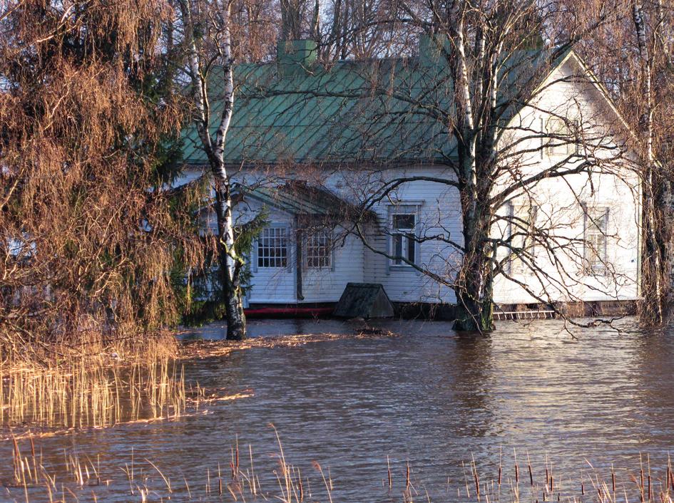 Kuva: Jari Rintala VAIKUTUKSET Kuva 30. Meriveden tulviminen pihapiiriin uhkaa kaivoveden laatua.