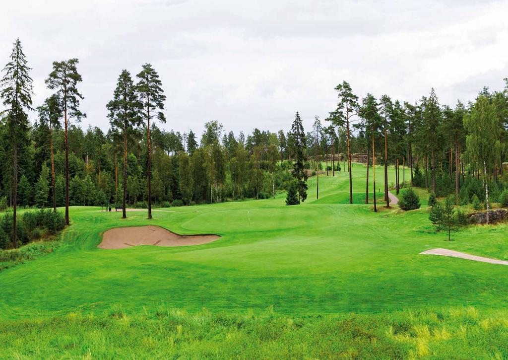 Sisältö 2 3 Laajasta valikoimasta kaikki ravinneratkaisut... 5 Ravinteet ja maan ominaisuudet... 6 Rakeiset lannoitteet... 8 Greencare -tuotteet... 8 Greencare 8... 8 Greencare 12 Plus.