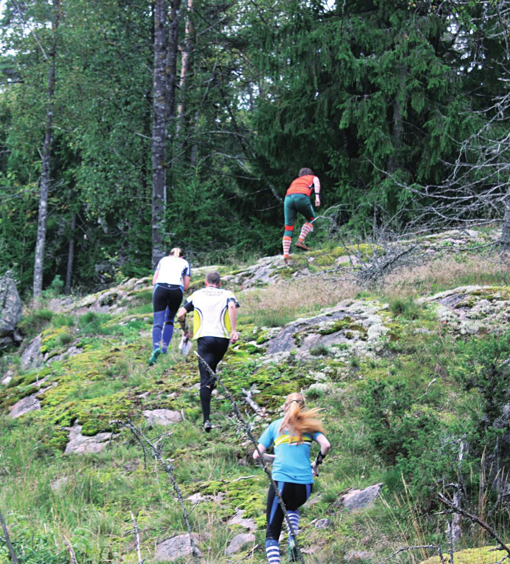 Kisoja, kuntorasteja ja muuta