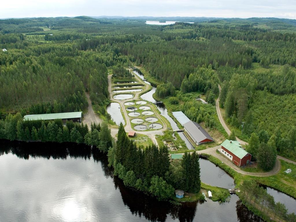 Keskijärven kalanviljelylaitoksen ilmakuva vuonna 2009