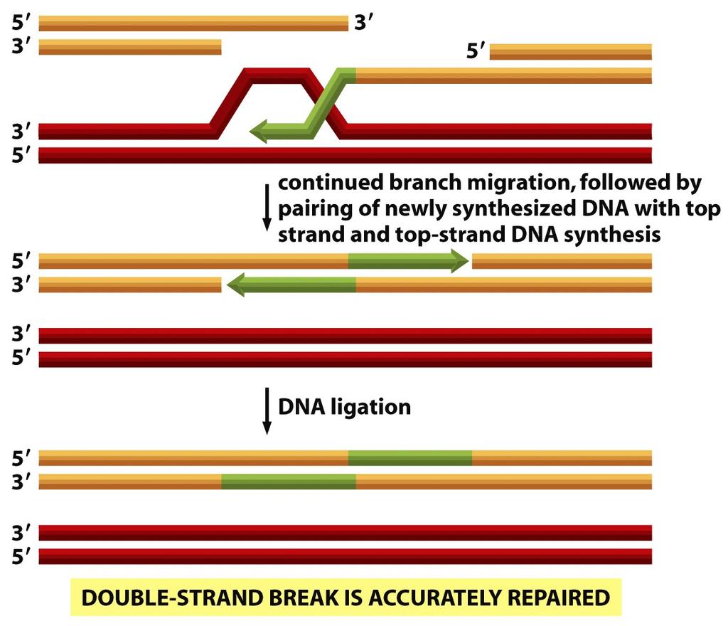 5-59 (part 1 of 2) Molecular