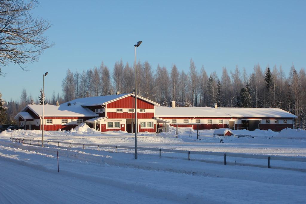 4. RATSASTUSSEURAN VISIO Kyrösjärven ratsastajat ry haluaa tukea kaikentasoisia ratsastajia. Kaikki jäsenet ovat yhtä arvokkaita.