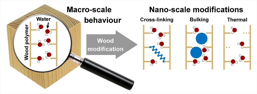 Wood modification in brief (Source: Emil Engelund Thybring, http://www.