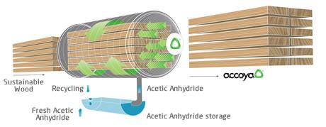 Asetylointi