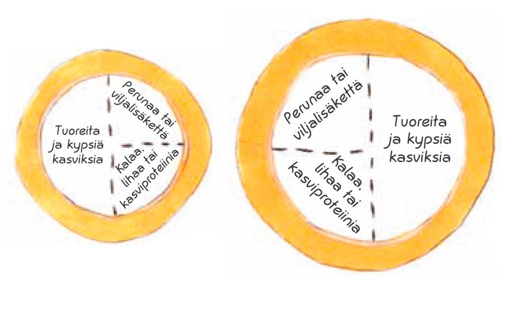 tuullisesti rasvattomia ja vähärasvaisia maitotuotteita, kalaa, broileria, kalkkunaa, vähärasvaista lihaa, kasviproteiinin lähteitä sekä pehmeää rasvaa.