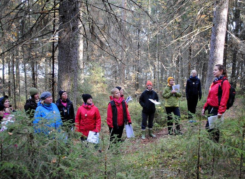 ja Varkauden Viljolahdessa 7.6. yhteistyössä Etelä-Savon luonnonsuojelupiirin kanssa. Katiskoja jaettiin yhteensä 180 kappaletta. Lisäksi Liitto julkaisi uuden katiskakalastusesitteen.