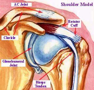 OLKAPÄÄVAMMAT WS WJ 40,4 % Glenohumeral injuries Gr.