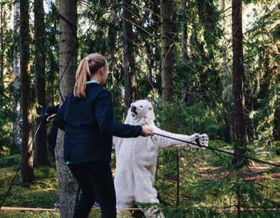 Seikkailutalo Seikkailutalolla Villa Barrdoftin huvilalla on yöpymistilat 12 hengelle.