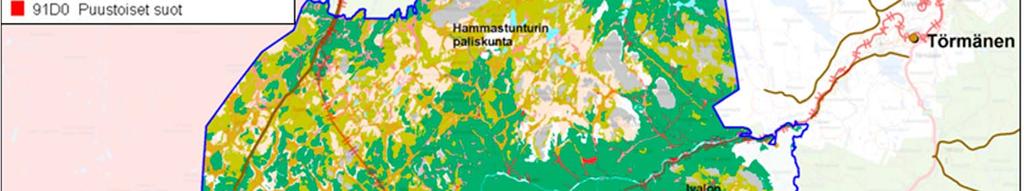 Luonnonmetsät ja aapasuot ovat