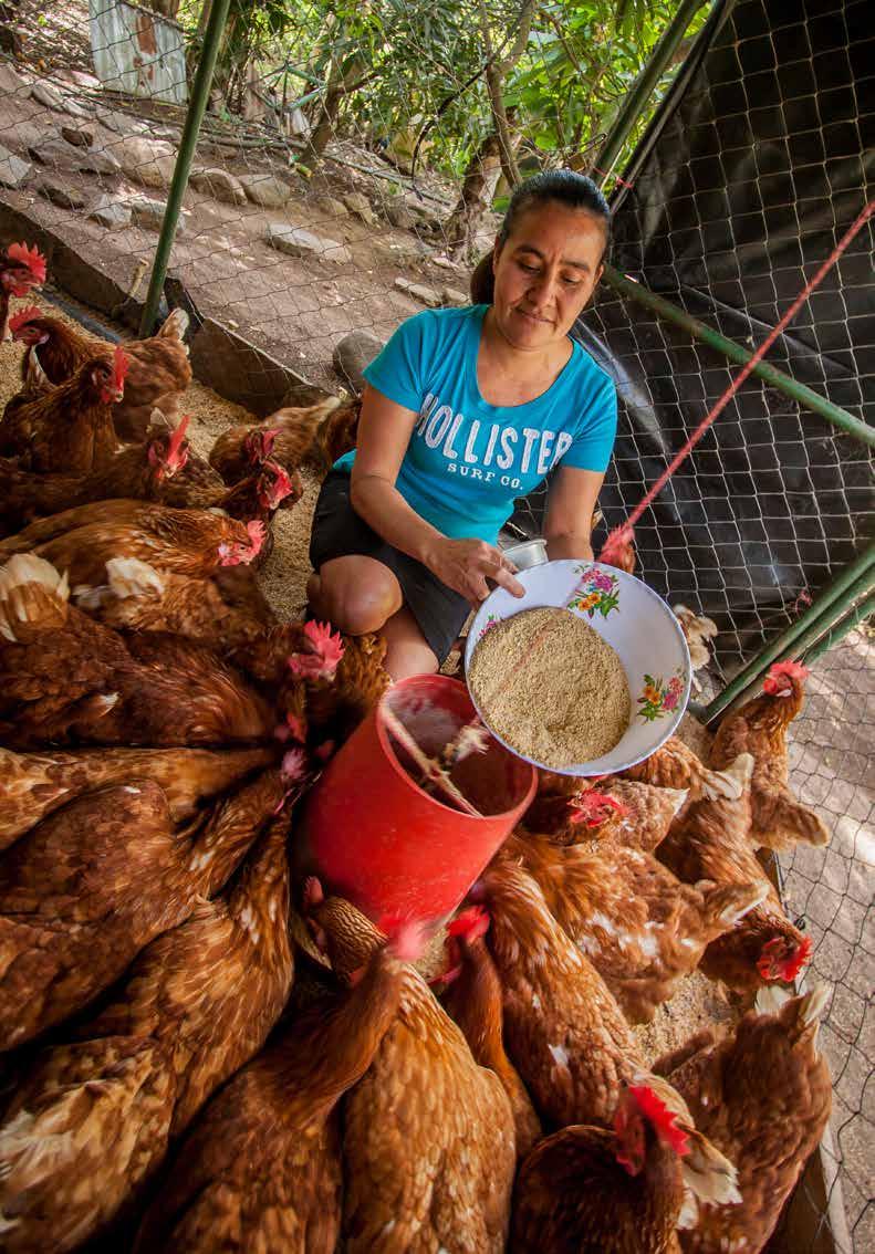 NAISVOIMAA NICARAGUA NAISVOIMAA NICARAGUA Rosa Delfina Cruzin kanala tuottaa ympäri vuoden ja tuo perheelle taloudellista turvaa. Cruzin tärkein tavoite on antaa lapsilleen hyvä koulutus.