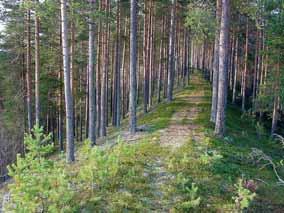 kiviaineshuollon yhteensovittaminen Loppuraportti