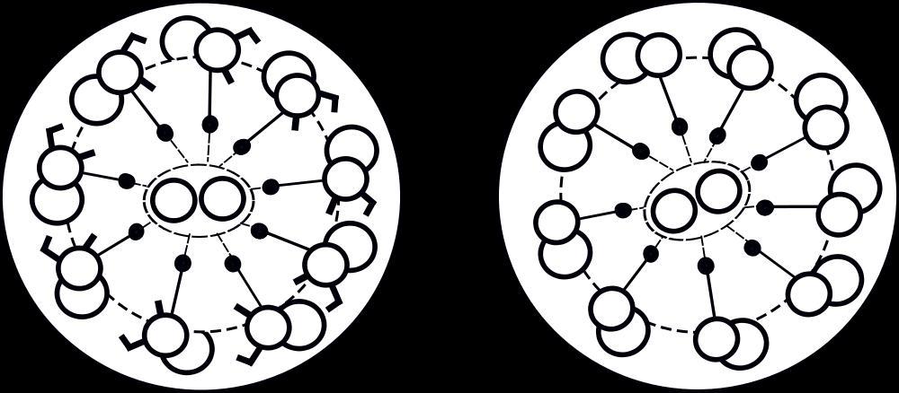 Kartagenerin oireyhtymä (=primary ciliary