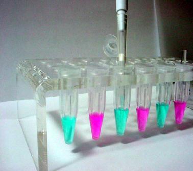 Measurement techniques for bioinformatics (6 op)