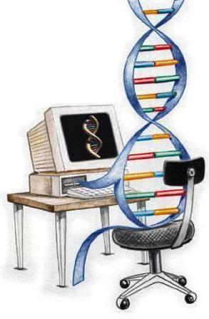 Practical Bioinformatics Tavoite: Ohjelmoinnin ja data-analyysin perustiedot Kohderyhmä: suunnattu biotieteilijöille ja ohjelmoinnin vasta-alkajille Koostuu luennoista ja käytännön harjoituksista