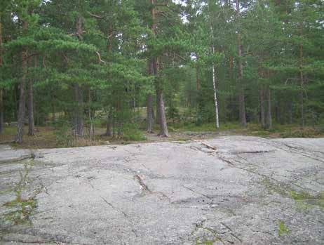 9 Joonaanmäen ulkoilumetsä Suojelu- ja rauhoituspäätökset Erityiset arvot Joonaanmäen ulkoilumetsä ja Aunelan rantarinteiden puistot kuuluvat maakunnallisesti arvokkaaseen kulttuuriympäristöön.
