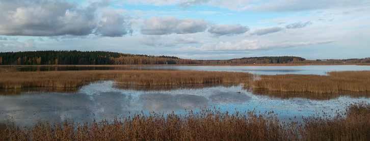 Eteläkärjen suojelumetsä on osa Porvoonjoen suiston Stensbölen Natura 2000 -aluetta.