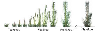 metsävaratiedon keruuseen verrattuna. (0.5 eur/ha vs.