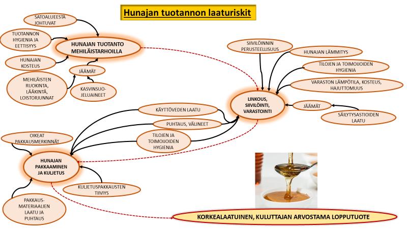 Maa- ja metsätalousministeriön asetus hunajasta on kokonaisuudessaan SML:n sivuilla www.