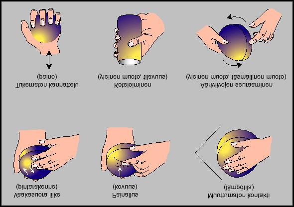 11 Kuvassa 2.4 on kuusi erilaista tutkimusmenettelytapaa, joilla ihminen tyypillisesti tunnustelee kädessään olevaa esinettä.